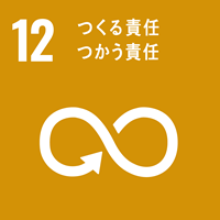 Sustainable Development Goals icon12