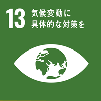 Sustainable Development Goals icon13