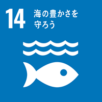 Sustainable Development Goals icon14