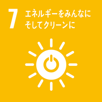 Sustainable Development Goals icon7