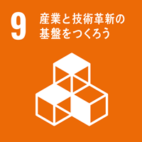 Sustainable Development Goals icon9